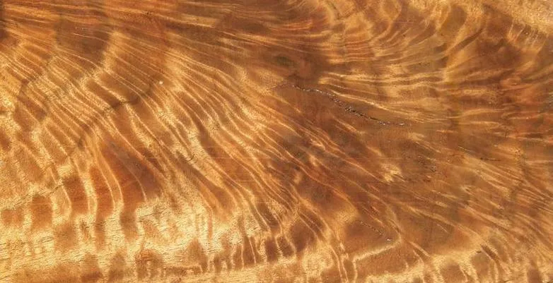 Close-up of highly figured walnut stock wood